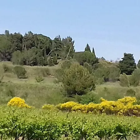 Domaine Les Salices Сasa de vacaciones
